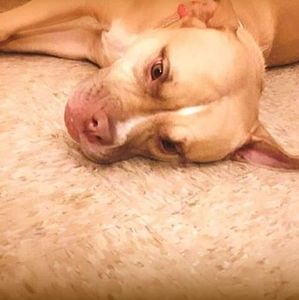 Meet your Posher, Latasha